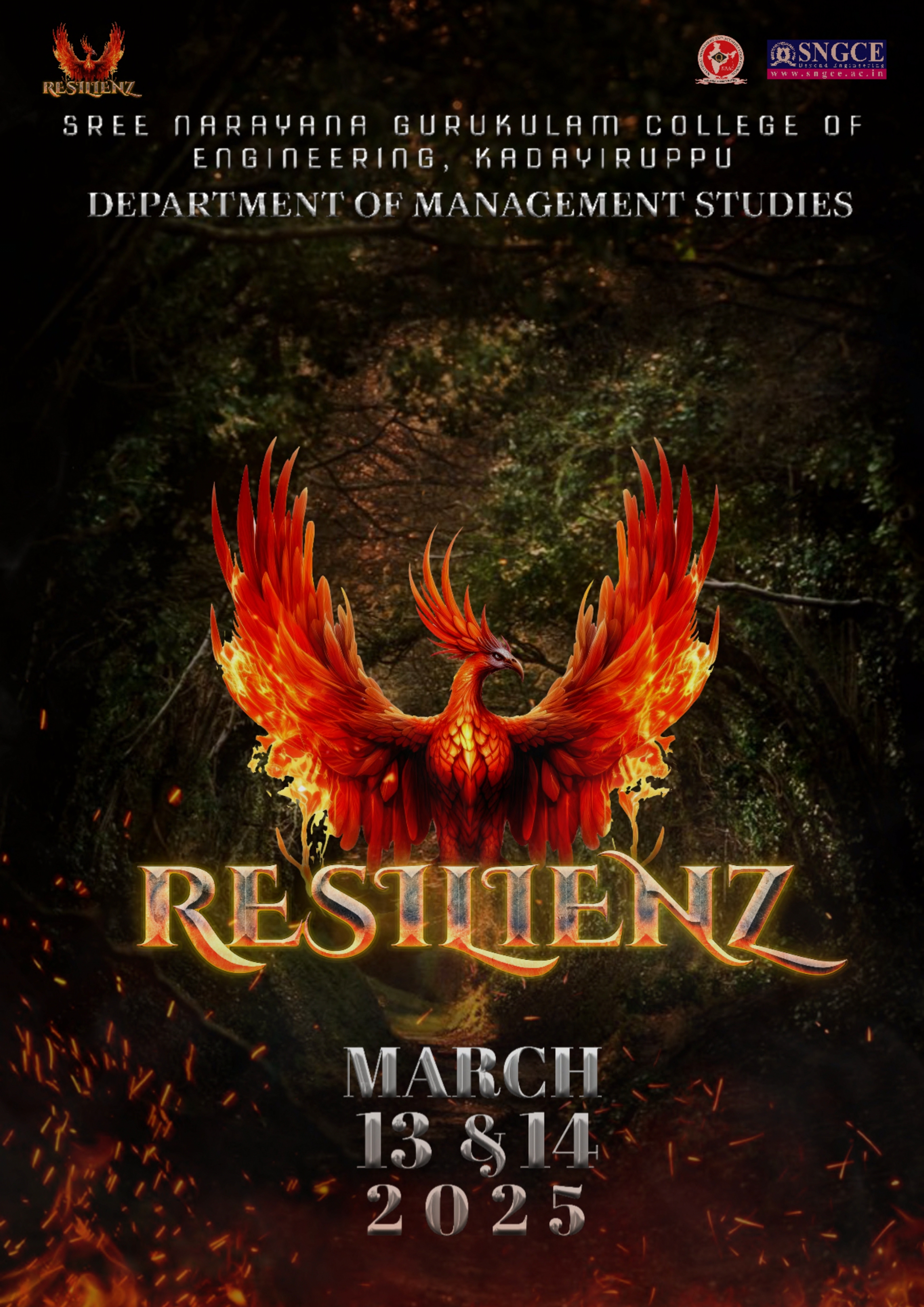 RESILIENZ 2025 - The Management Fest